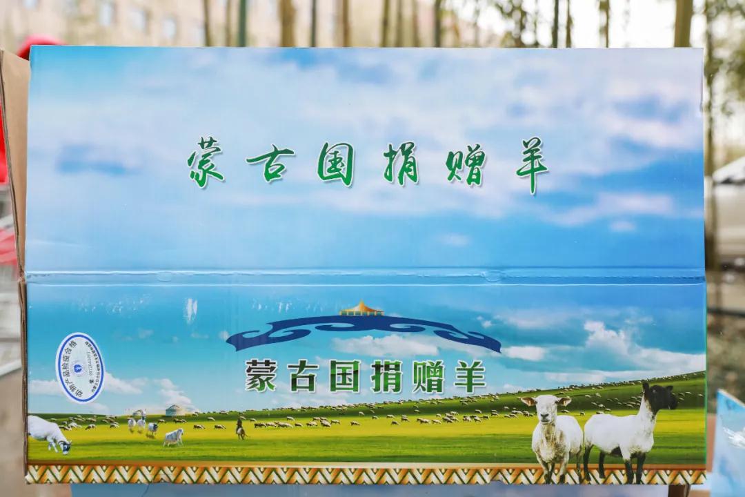 援鄂醫(yī)療隊：“暖羊羊”來啦！