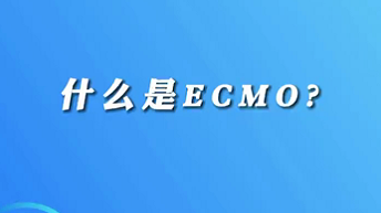 【名醫(yī)面對面之心臟100問】什么是ECMO？