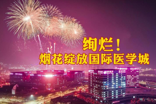 絢爛！煙花綻放國際醫(yī)學(xué)城
